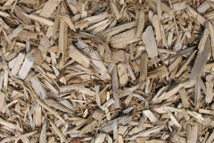 biomass boilers Ermine